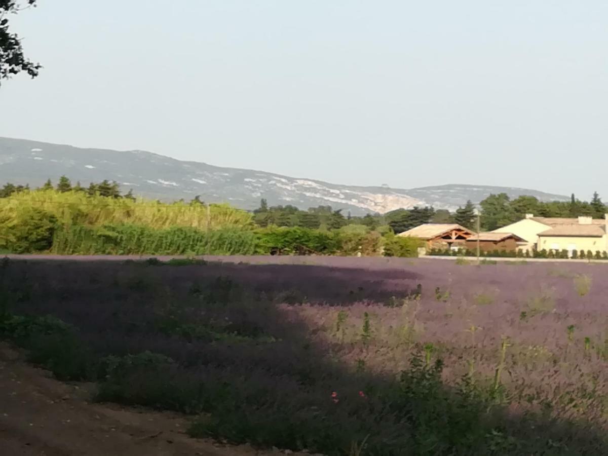 Au Pays Du Ventoux Bed & Breakfast Le Thor Eksteriør bilde