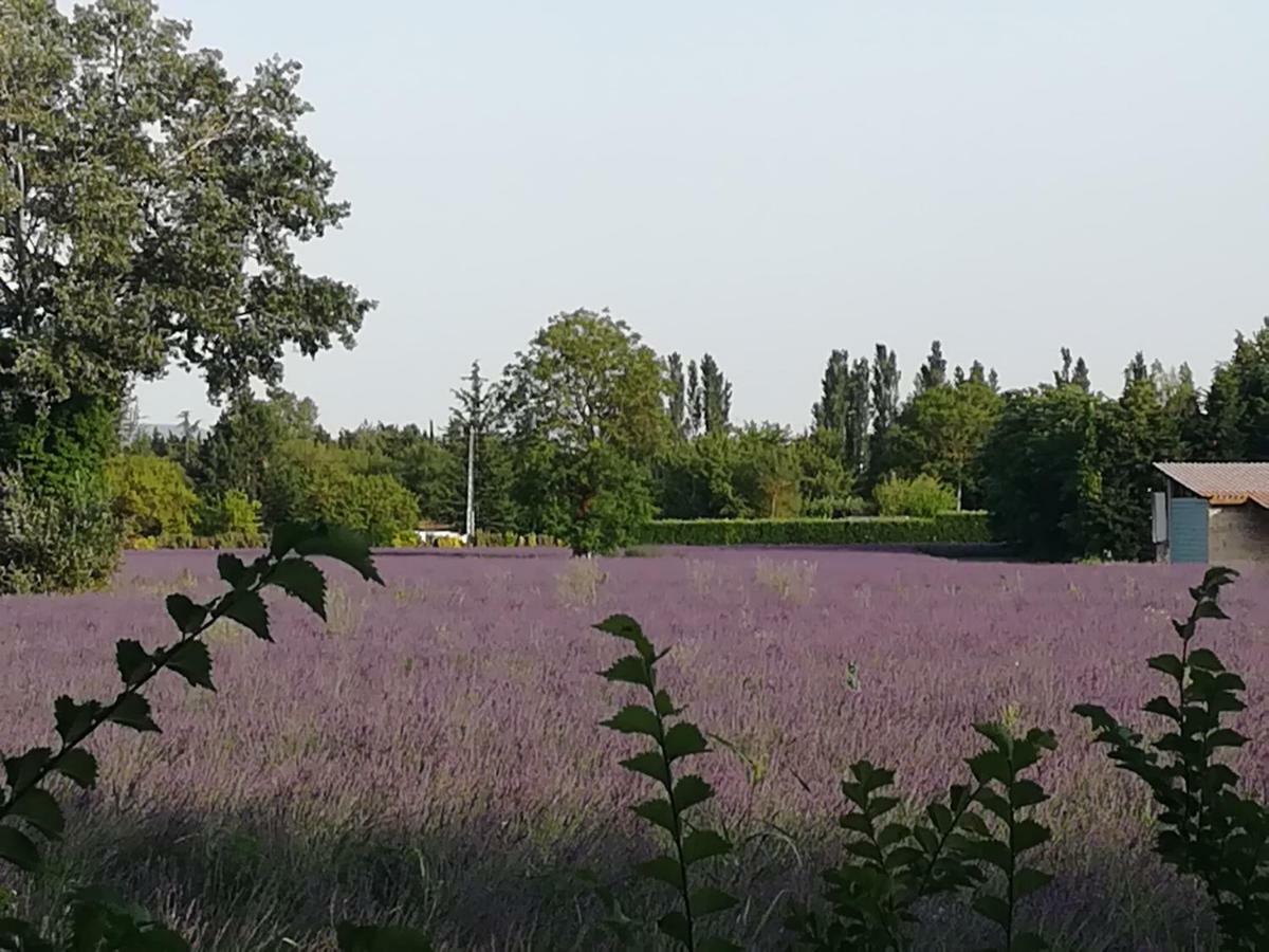 Au Pays Du Ventoux Bed & Breakfast Le Thor Eksteriør bilde